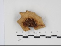 登錄號:F0034732藏品圖，第1張