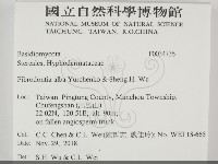 登錄號:F0034736藏品圖，第2張