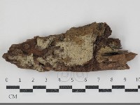 登錄號:F0034736藏品圖，第1張