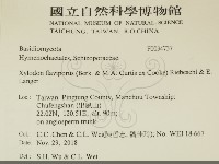 登錄號:F0034737藏品圖，第2張