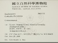 登錄號:F0034738藏品圖，第2張