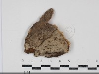 登錄號:F0034738藏品圖，第1張