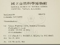 顯絲菌屬藏品圖，第2張