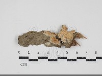 登錄號:F0034740藏品圖，第1張