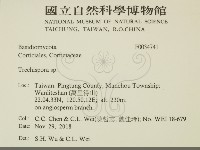 登錄號:F0034741藏品圖，第2張
