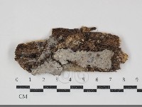 登錄號:F0034741藏品圖，第1張