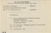 登錄號:F0034741藏品圖，第3張