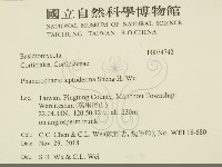 登錄號:F0034742藏品圖，第2張