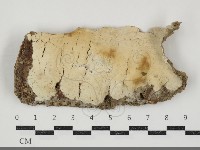 登錄號:F0034742藏品圖，第1張