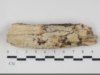 登錄號:F0034743藏品圖，第1張