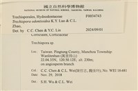 登錄號:F0034743藏品圖，第3張