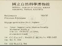 登錄號:F0034745藏品圖，第2張