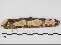 登錄號:F0034745藏品圖，第1張