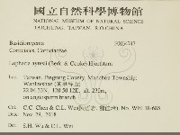 登錄號:F0034747藏品圖，第2張