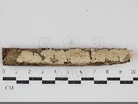 登錄號:F0034747藏品圖，第1張