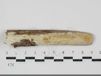 登錄號:F0034748藏品圖，第1張