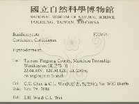 絲皮菌屬藏品圖，第2張