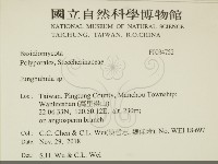 容氏菌屬藏品圖，第2張