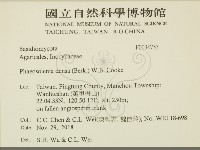 登錄號:F0034753藏品圖，第2張