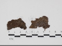 登錄號:F0034753藏品圖，第1張