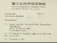 刺皮菌屬藏品圖，第2張
