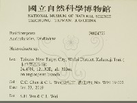 刺皮菌屬藏品圖，第2張