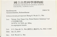 登錄號:F0034758藏品圖，第3張