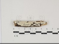 登錄號:F0034759藏品圖，第1張