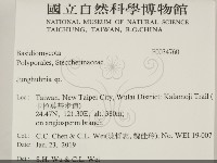 容氏菌屬藏品圖，第2張