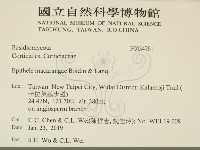 登錄號:F0034761藏品圖，第2張