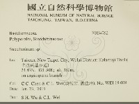 齒耳菌屬藏品圖，第2張