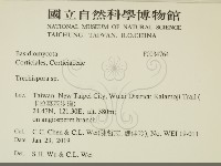 登錄號:F0034764藏品圖，第2張