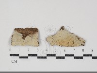 登錄號:F0034764藏品圖，第1張