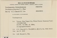 登錄號:F0034764藏品圖，第3張