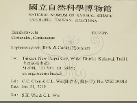 登錄號:F0034766藏品圖，第2張
