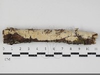 登錄號:F0034766藏品圖，第1張