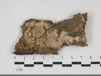 登錄號:F0034768藏品圖，第1張