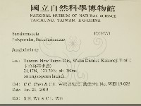 容氏菌屬藏品圖，第2張