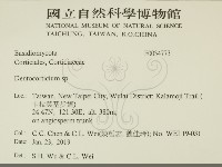 登錄號:F0034773藏品圖，第2張