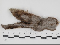 登錄號:F0034773藏品圖，第1張