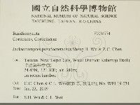 登錄號:F0034774藏品圖，第2張