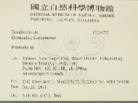 登錄號:F0034775藏品圖，第2張