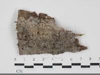 登錄號:F0034775藏品圖，第1張