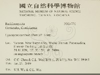 登錄號:F0034776藏品圖，第2張