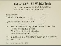登錄號:F0034777藏品圖，第2張