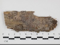 登錄號:F0034778藏品圖，第1張