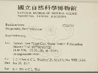 齒耳菌屬藏品圖，第2張