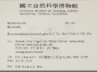 登錄號:F0034784藏品圖，第2張