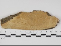 登錄號:F0034785藏品圖，第1張