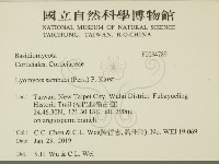 登錄號:F0034789藏品圖，第2張